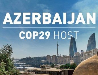 Jikalahari Tuding PT RAPP Lakukan Pembohongan Publik dalam Konferensi Perubahan Iklim di Azerbaijan